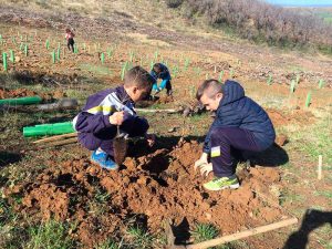 Plantando