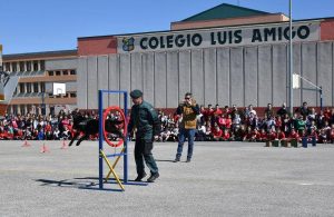 Plan de seguridad