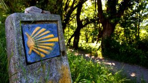 Camino de Santiago